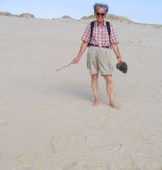 pp60