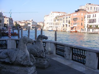 Venice lions